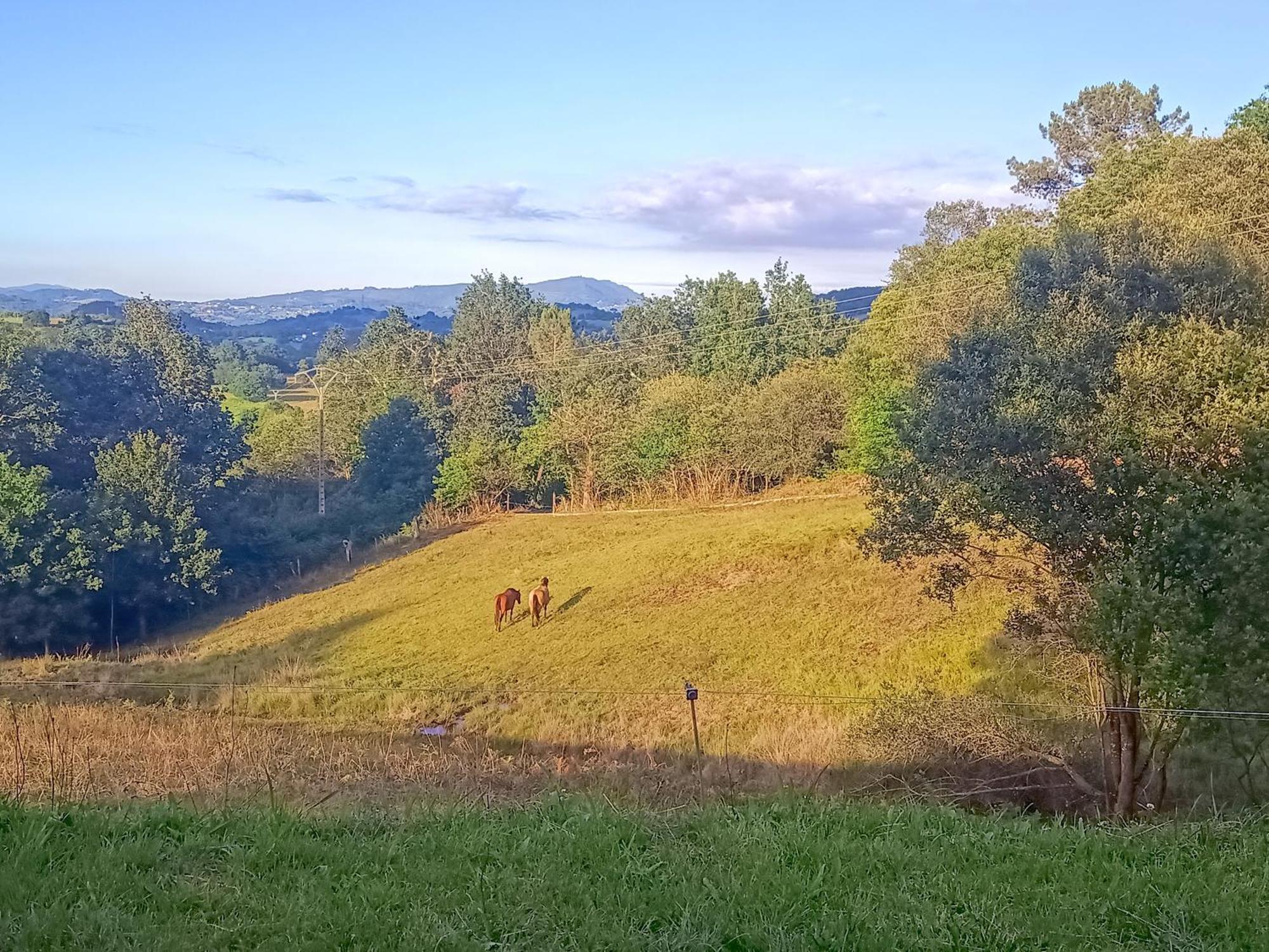 Casa Rural Tulia Градо Екстериор снимка